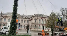 Galerie foto - poza 2