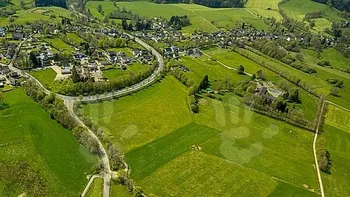 Locul de vis din România pe care trebuie să-l vizitezi: Poiana Narciselor