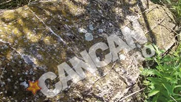 Zonele cu efect curativ ale Romaniei: Deasupra tarii noastre se intinde una dintre cele mai puternice umbrele energetice protectoare de pe intreaga planeta