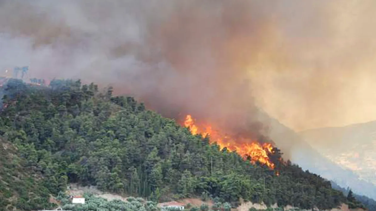 Un incendiu puternic a cuprins Muntele Rosu! Peste 150 de pompieri si silvicultori se lupta cu flacarile!