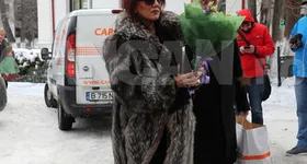 Galerie foto - poza 2