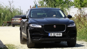 Reacţii în premieră. E suspect că nu-şi asumă relaţia! De ce a sechestrat-o în casă Smiley pe Gina Pistol