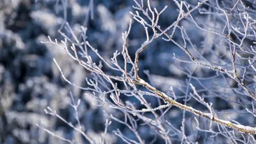 Meteorologii ANM anunță vreme bizară în România! Ninsoare ca în povești în aceste zone