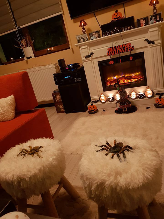 Cum şi-a decorat Minodora casa de Halloween! Imagini de vis