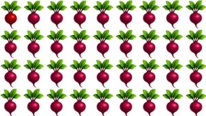 Test IQ exclusiv pentru genii | Găsiți ridichea diferită, în maximum 6 secunde