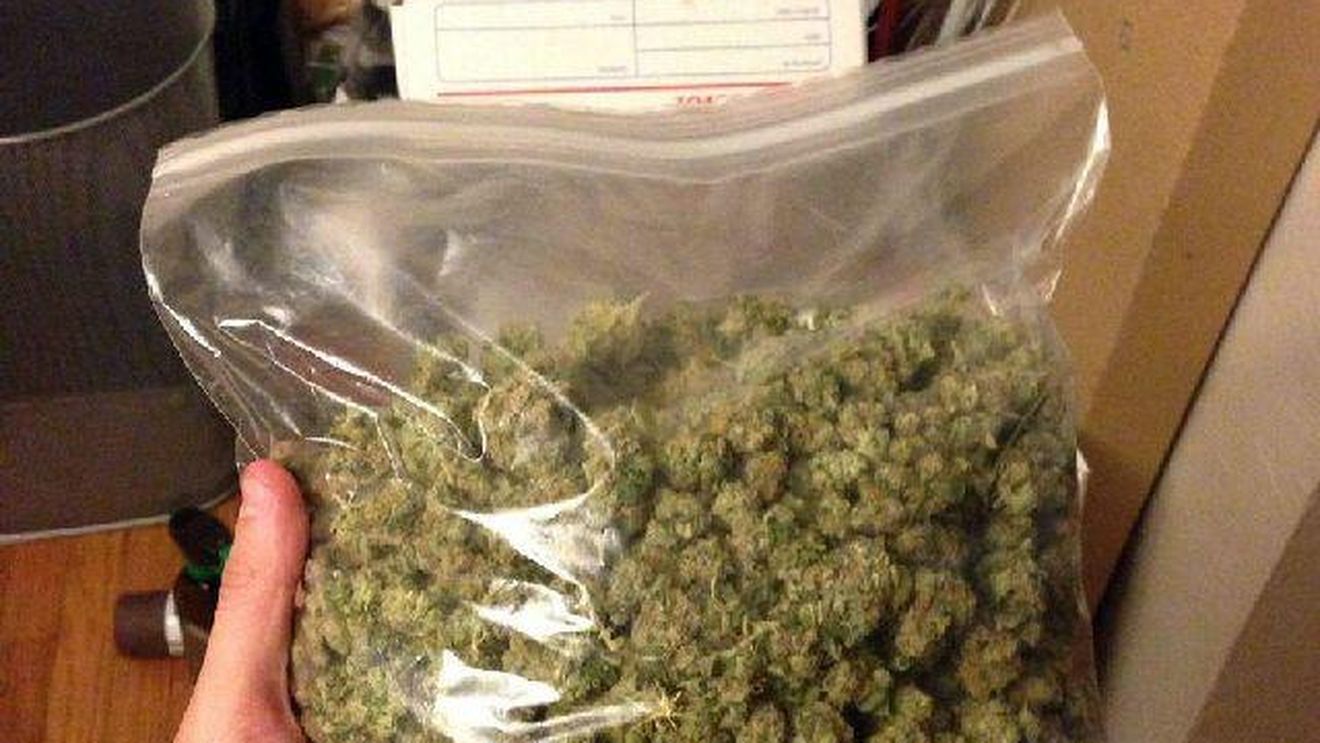 Polițiștii din Neamț au confiscat 1,5 kilograme de canabis în urma a două percheziții