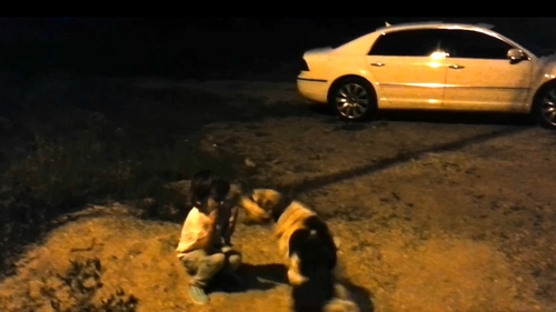 La un pas de tragedie! Fiul lui Calin Geambasu, atacat de un maidanez! Vezi cum a sarit sa-l muste de fata pe micutul de patru ani