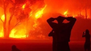 Record al emisiilor de carbon, după incendiile masive din această vară