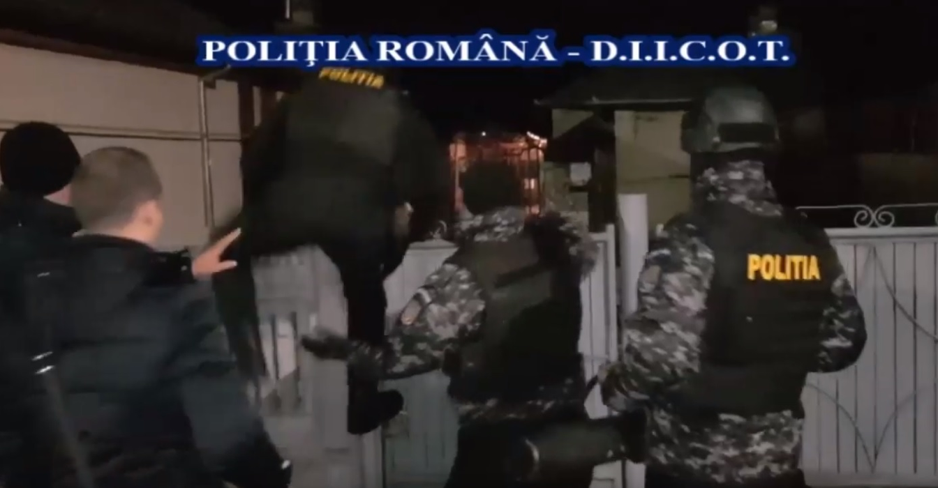 Polițiștii au intrat cu noaptea în cap peste cultivatorul oltean de cannabis