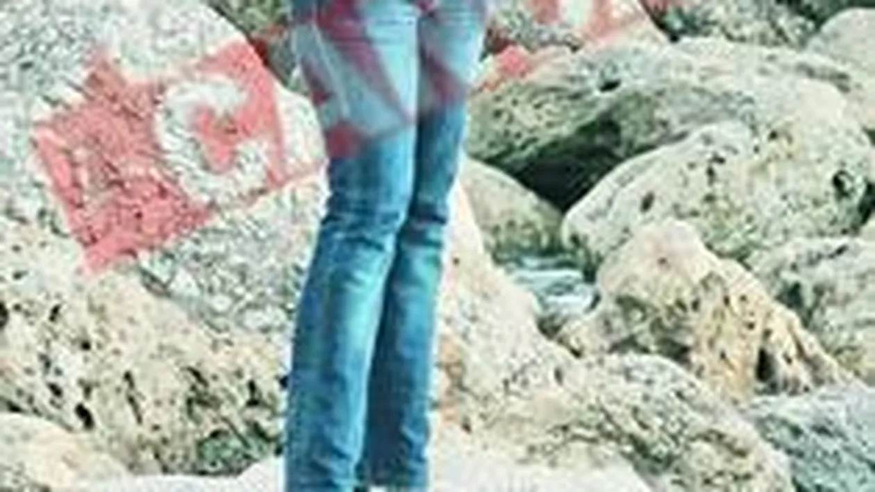 Inlocuitor pentru Ioana Basescu