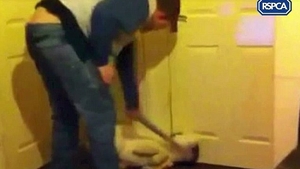 VIDEO SOCANT! Momentul in care un bărbat isi bate cu sălbăticie câinele, cu o teavă! Ce l-a determinat să facă asta