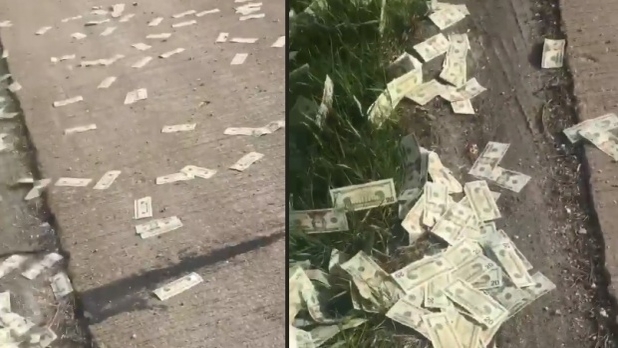A început „să plouă” cu bani pe o autostradă din Statele Unite. Cum au reacționat șoferii