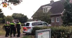 Galerie foto - poza 4