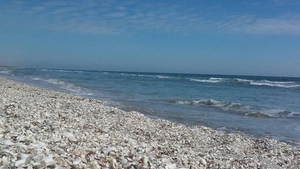 Caz incredibil pe litoral. Un bărbat a făcut baie în mare alături de un rottweiler
