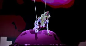 Galerie foto - poza 3