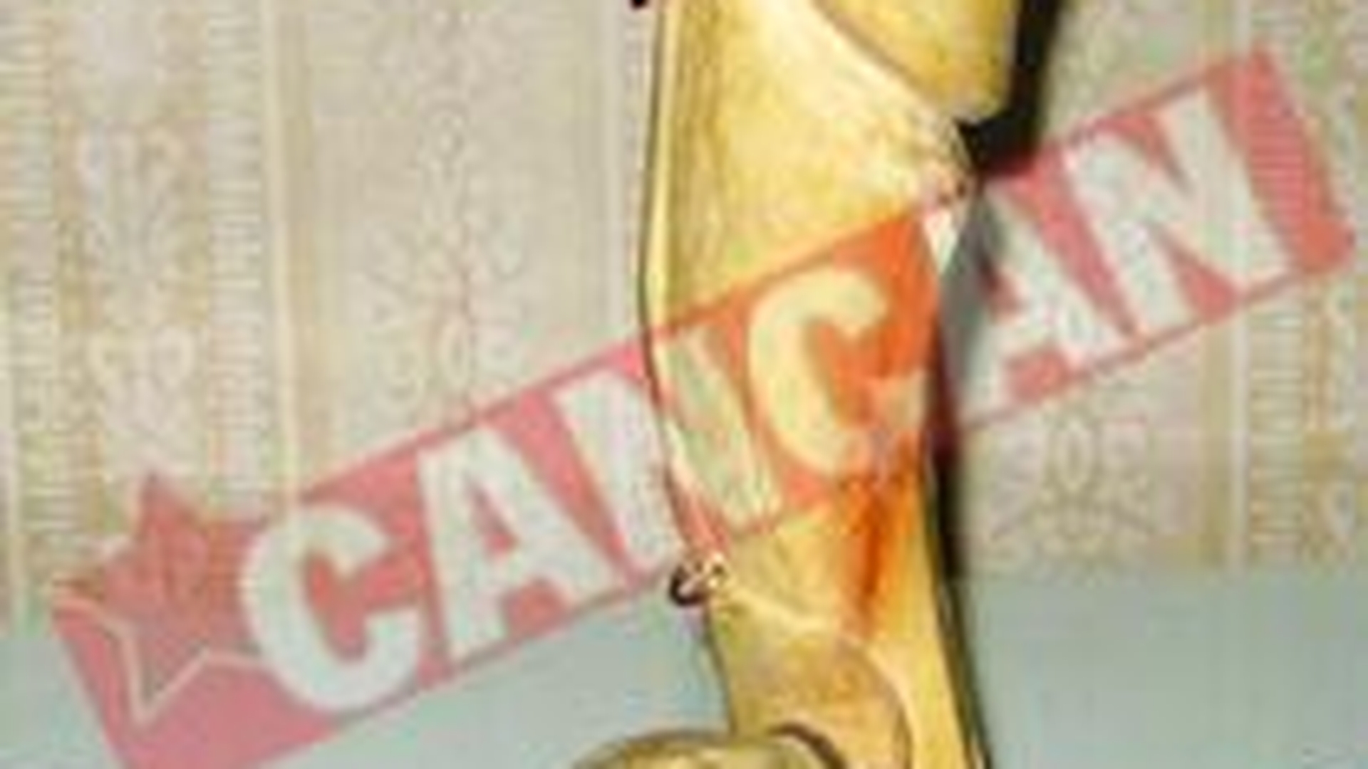 Cadouri erotice