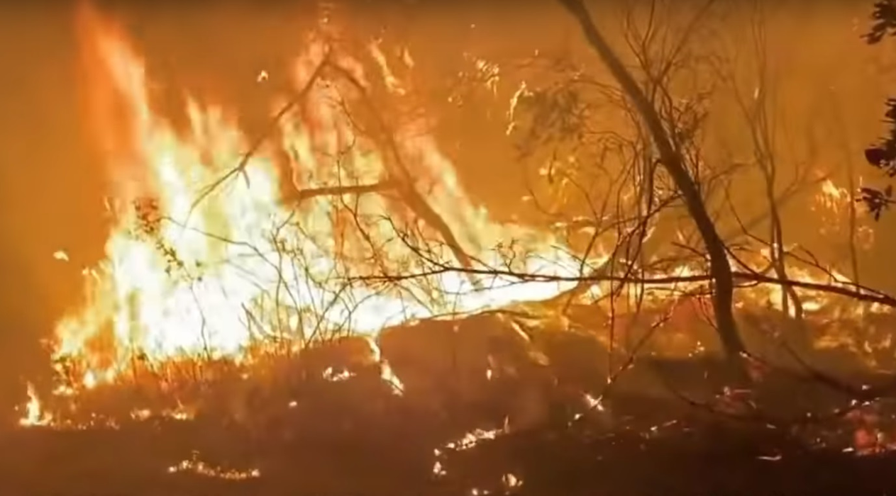 Mesajul sfâșietor al unei mame, prinsă în mijlocul incendiilor infernale din Australia cu bebelușul ei: “A  inhalat fum cam cât o persoană care fumează un pachet de ţigări pe zi”