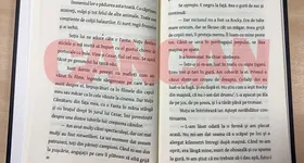 Galerie foto - poza 3