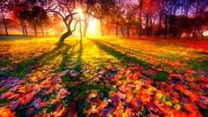 Ai crezut ca a venit iarna? Te inseli! Incredibil ce cald si frumos va fi saptamana viitoare!