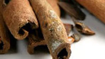 Miresmele va pot inflenta viata in bine! Descoperiti secretele aromelor de menta, scortisoara, lamaie sau cafea!