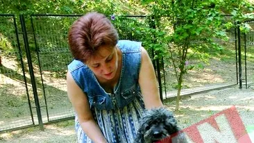 Cainii de companie din Bucuresti au parcuri de distractie