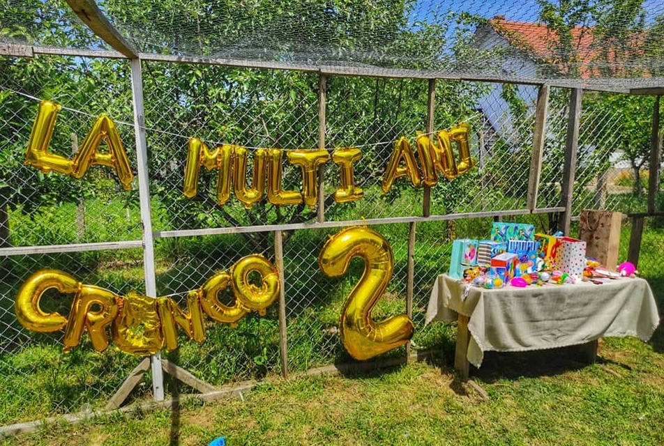 Celebra cioară Cronco a dispărut! Proprietarii o caută disperați și oferă recompensă persoanei care o va găsi
