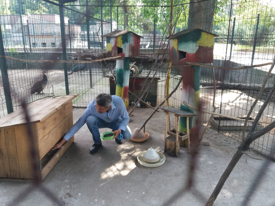 Regim special de caniculă pentru animalele de la zoo