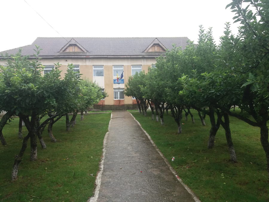 În Olt există comune unde niciun elev nu a promovat Evaluarea Națională