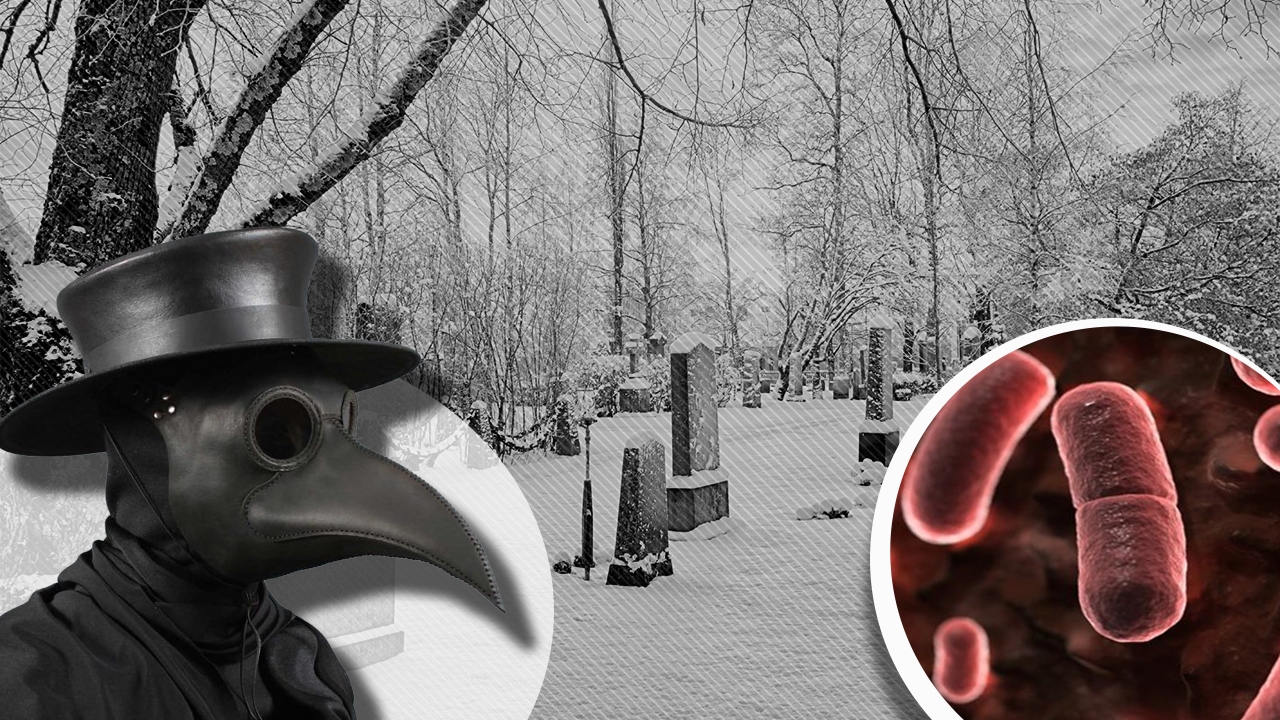 Descoperirea făcută într-un cimitir vechi din Siberia îi fascinează pe oamenii de știință din întreaga lume