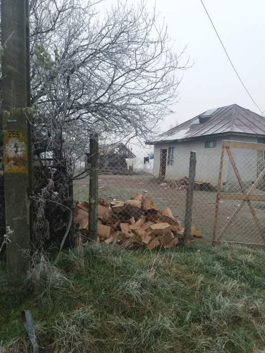 Casa unde locuiesc cele nouă suflete necăjite