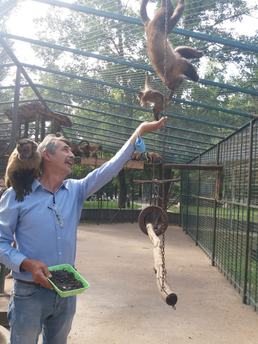 Regim special de caniculă pentru animalele de la zoo