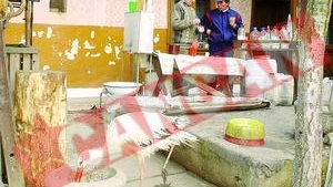 Preotul vindecator creste o barza printre gaini