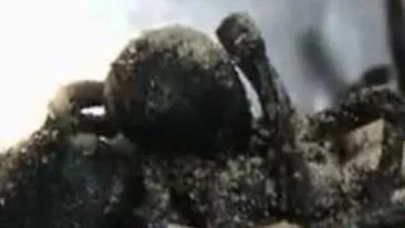 VIDEO INFIORATOR! Uite-i pe dementii astia cum pregatesc tarantulele de zici ca fac prajituri! Ei sunt dusmanii poftei tale de mancare