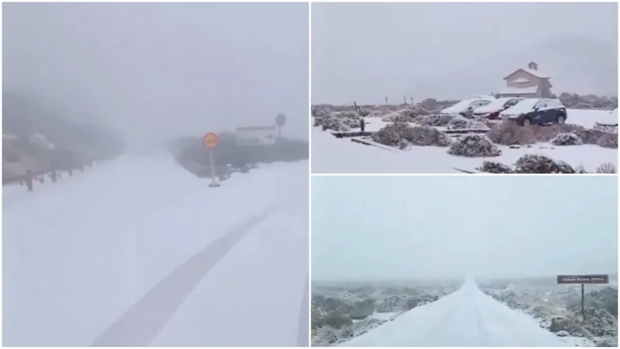 Furtuna Therese face ravagii! Cod portocaliu de ninsori și vânt puternic