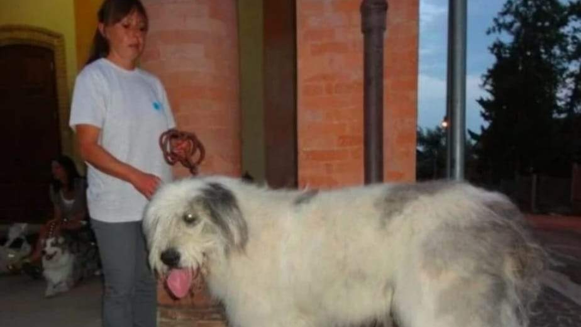Ți se sfâșie sufletul! Cristiana, românca găsită moartă în zăpadă, în Italia, își trăia viața în preajma necuvântătoarelor: „Câinii mei îmi țin de cald”