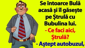 BANC | Se întoarce Bulă acasă și îl găsește pe Ștrulă cu Bubulina