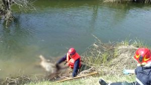 Ce dramă! A dispărut în luna martie, iar acum i-au găsit cadavrul în apele râului Bârlad