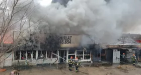 Galerie foto - poza 4