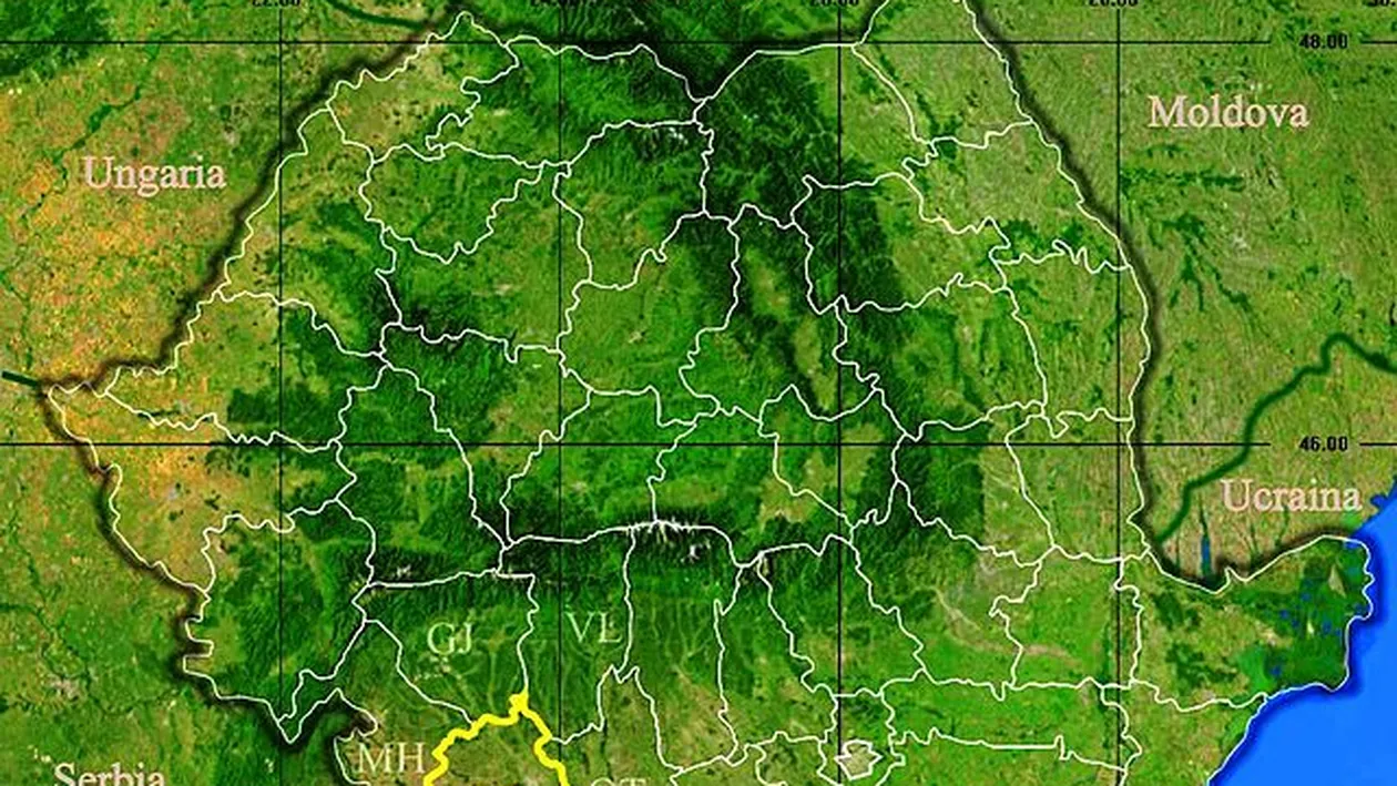 Rezultate Evaluarea Națională 2019 (Capacitate) Dolj