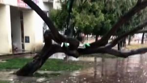 De necrezut unde și-a parcat trotineta electrică un tânăr din Iași! Imaginile au devenit virale în toată România