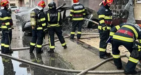 Galerie foto - poza 4