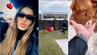 Daria Radionova și Alex Bodi, fericiți în Ajun de Crăciun! Cum s-au filmat cei doi iubiți în curtea vilei din Tunari și cum au împodobit locuința luxoasă | FOTO & VIDEO