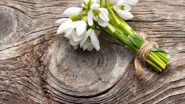 Pandemia și-a spus cuvântul! Câți lei costă un buchețel de ghiocei în piață