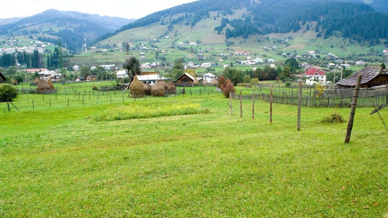 Vrei teren gratuit? Poți să primești un lot de pământ în proximitatea Bucureștiului