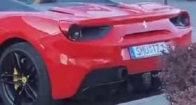 Galerie foto - poza 2