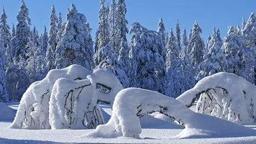 Zapada masoara 15 centimetri, la munte! Care sunt destinatiile preferate ale turistilor, in acest weekend prelungit