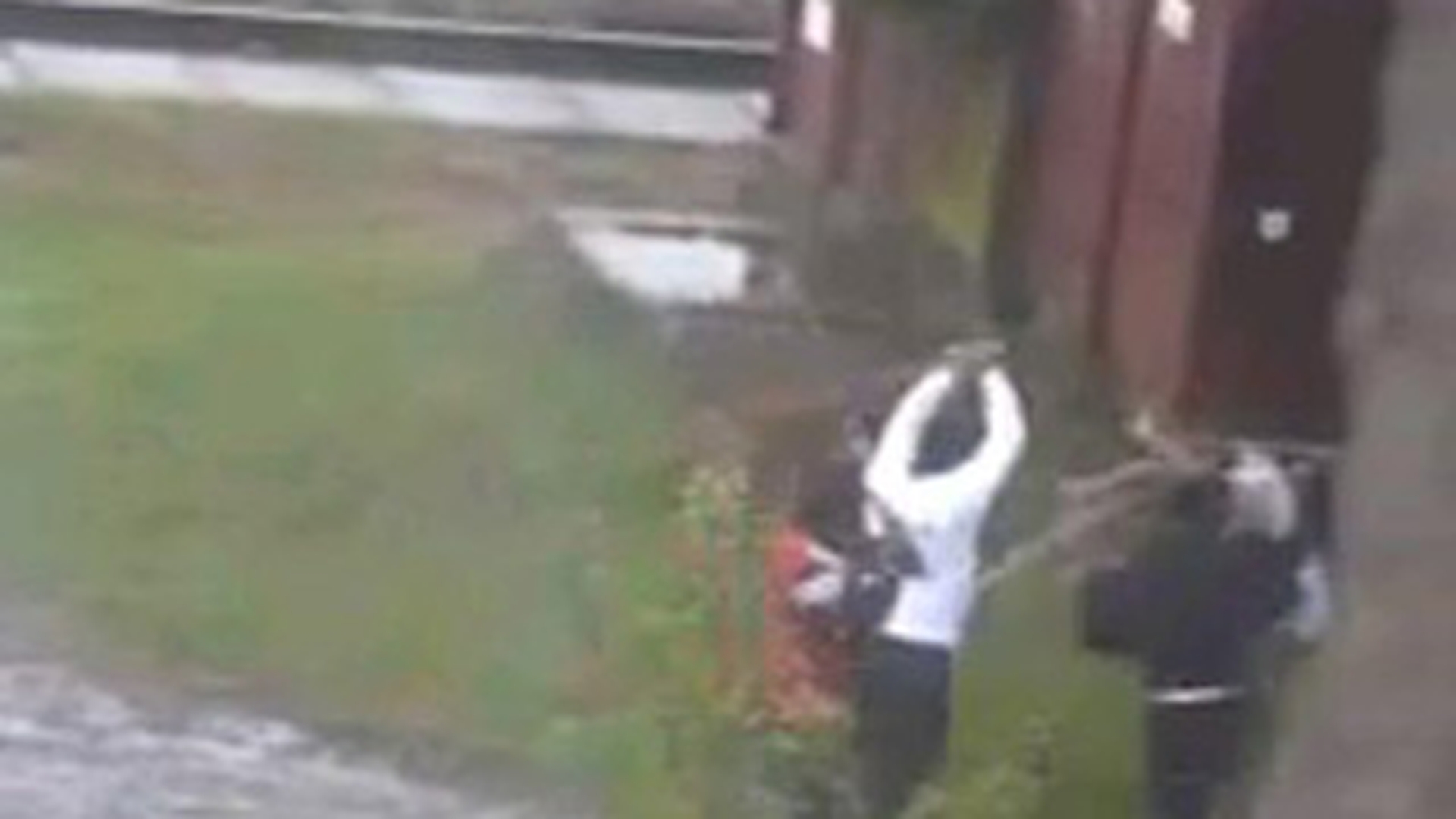 Cea mai violenta bataie intre tigani! Clanurile astea barbare de rromi s-au luat la omor cu parul - Isi sparg capetele si isi fac masinile zob cu batele - Video infricosator
