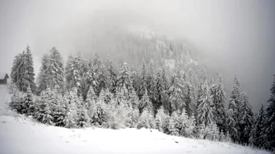 Avertizări ANM: Cod portocaliu de ninsoare și vânt puternic la munte, în mai multe județe