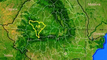 Rezultate Evaluarea Națională 2019 (Capacitate) Alba