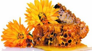 Propolisul, un antibiotic natural